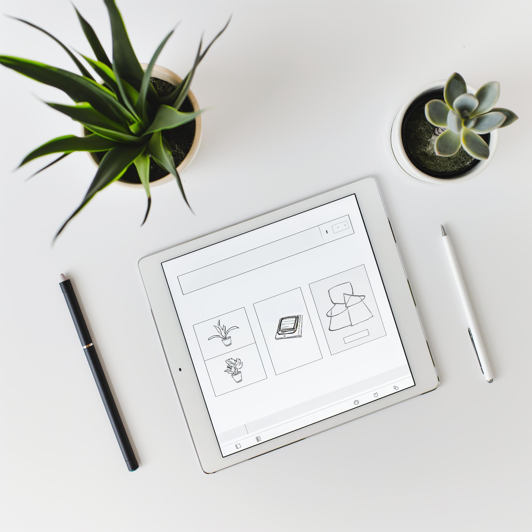 Website Audit